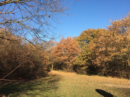 ブレント貯水池